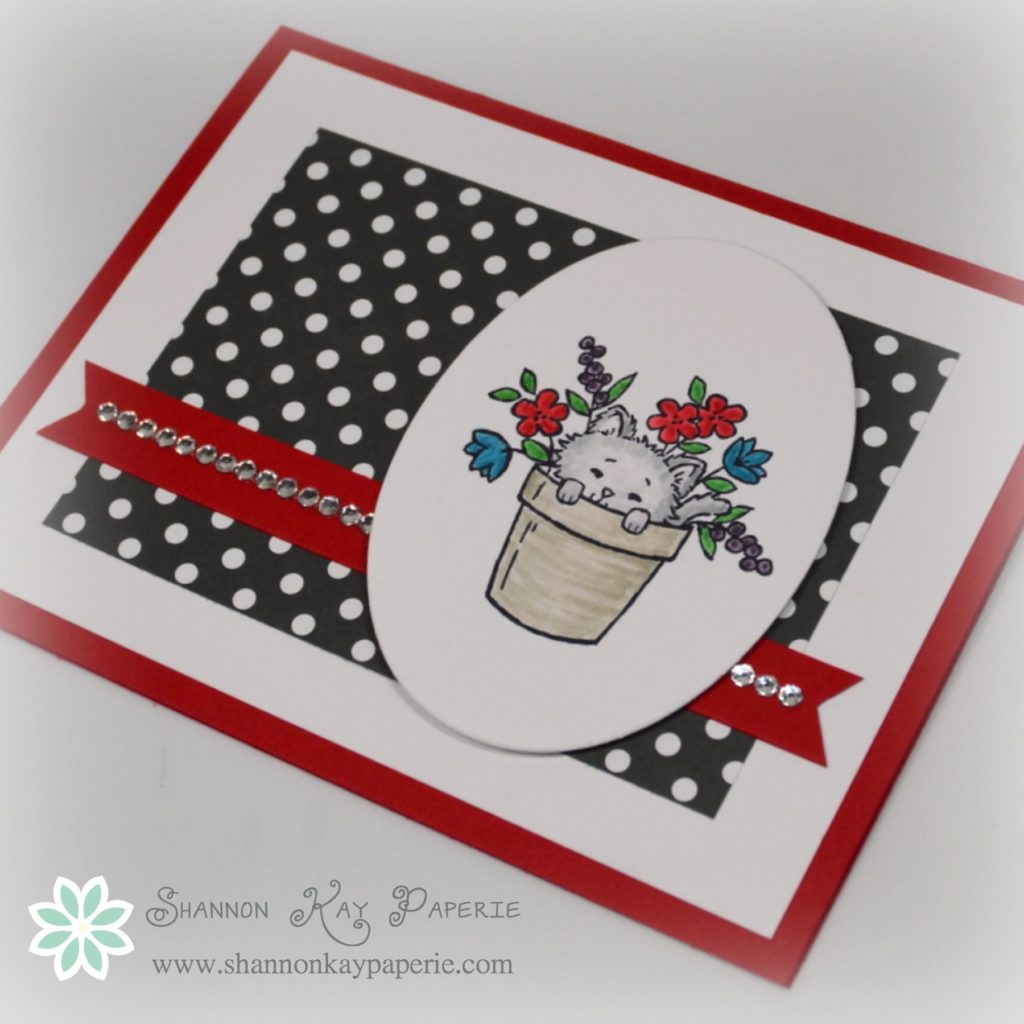 Stampin Up Pretty Kitty Card Idea - Shannon Jaramillo Stampinup