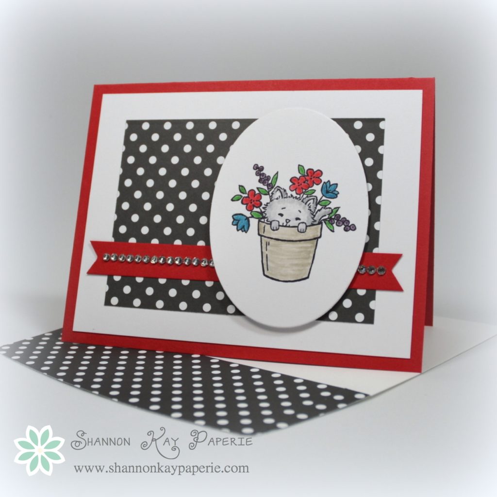 Stampin Up Pretty Kitty Card Ideas - Shannon Jaramillo Stampinup