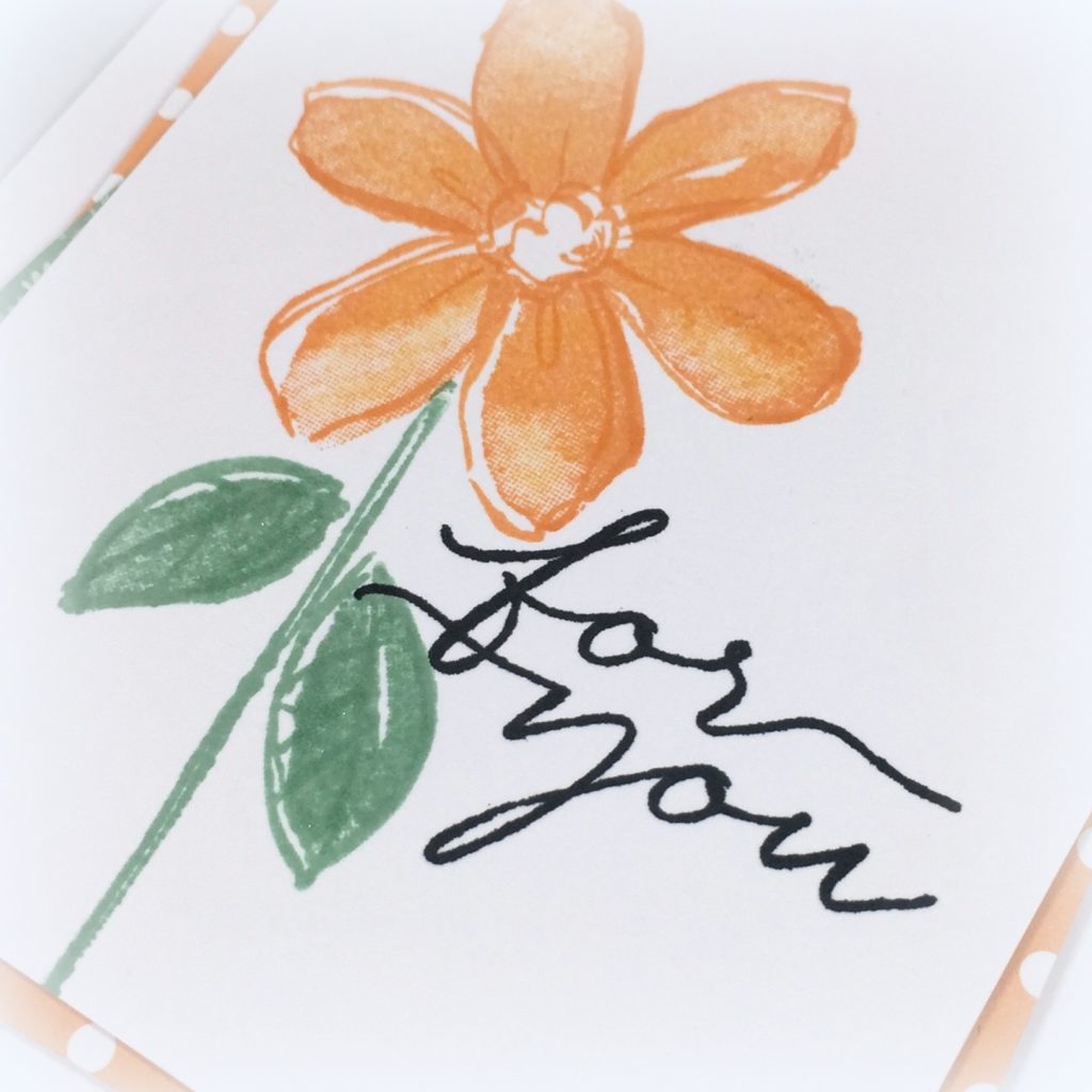 Stampin Up Garden in Bloom Just Because Cards Idea - Shannon Jaramillo Stampinup