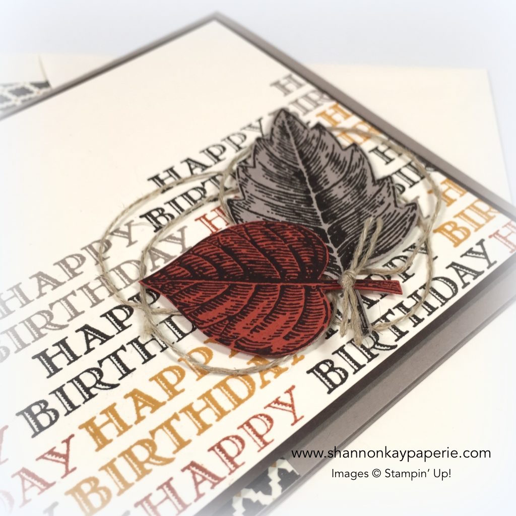 Stampin-Up-Guy-Greetings-Masculine-Birthday-Card-Ideas-Shannon-Jaramillo-Stampinup