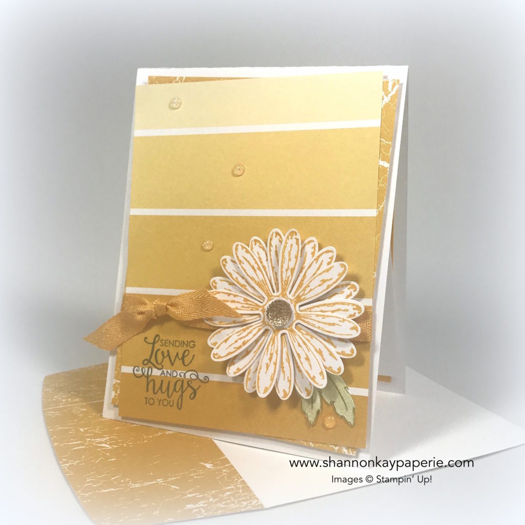 Introducing Daisy Delight Card Ideas - Shannon Jaramillo Stampin Up