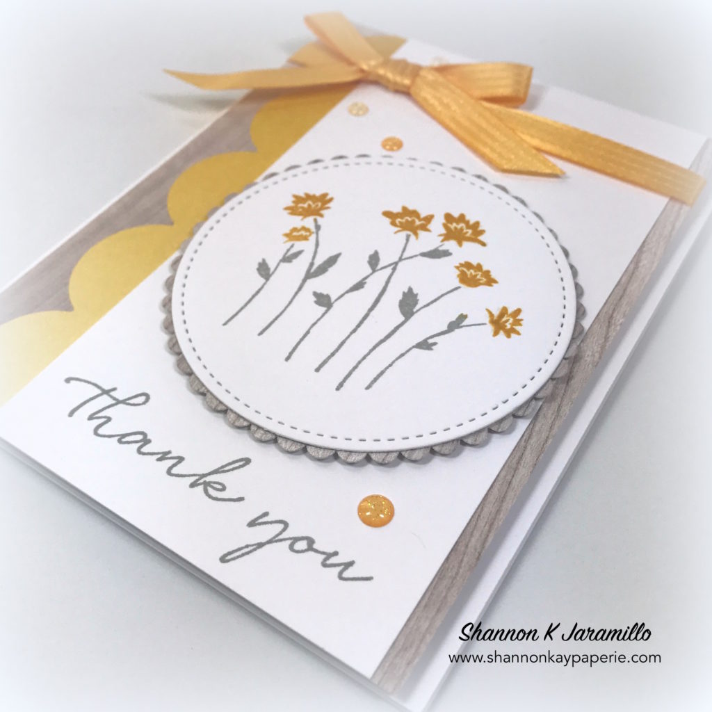 Stampin-Up-Background-Bits-Thank-You-Cards-Ideas-Shannon-Jaramillo-stampinup