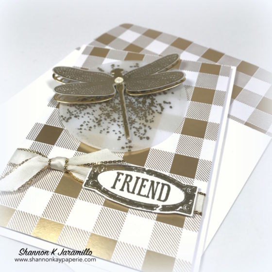 Stampin-Up-Dragonfly-Dreams-Friendship-Card-Ideas-Shannon-Jaramillo-stampinup