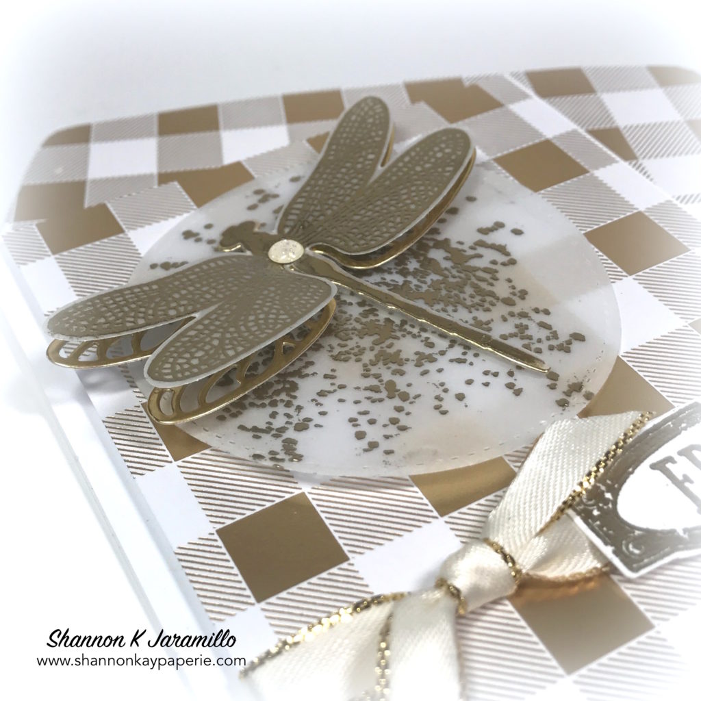 Stampin-Up-Dragonfly-Dreams-Friendship-Cards-Idea-Shannon-Jaramillo-stampinup