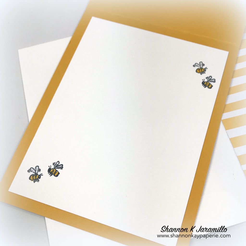 Stampin-Up-Honey-Bear-All-Occasion-Cards-Idea-Shannon-Jaramillo-stampin-up