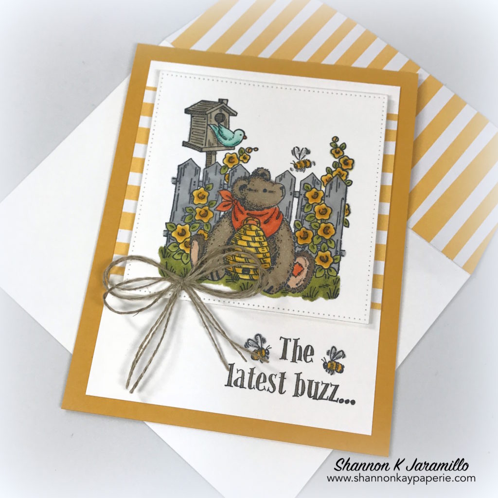 Stampin-Up-Honey-Bear-All-Occasion-Cards-Ideas-Shannon-Jaramillo-stampin-up