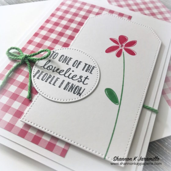 Stampin-Up-Live-Like-You-Mean-It-Friendship-Card-Ideas-Shannon-Jaramillo-stampinup