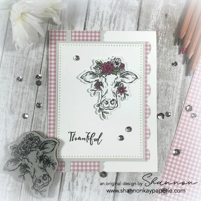 Fun-Stampers-Journey-Cows-Are-Beautiful-Too-Thank-You-Card-Ideas-Shannon-Jaramillo-FSJ-funstampersjourney