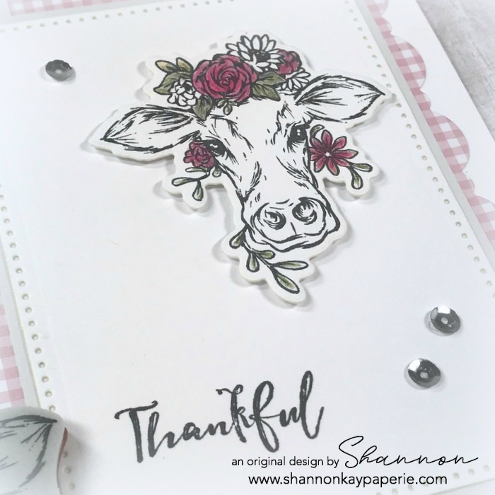 Fun-Stampers-Journey-Cows-Are-Beautiful-Too-Thank-You-Cards-Ideas-Shannon-Jaramillo-FSJ-funstampersjourney