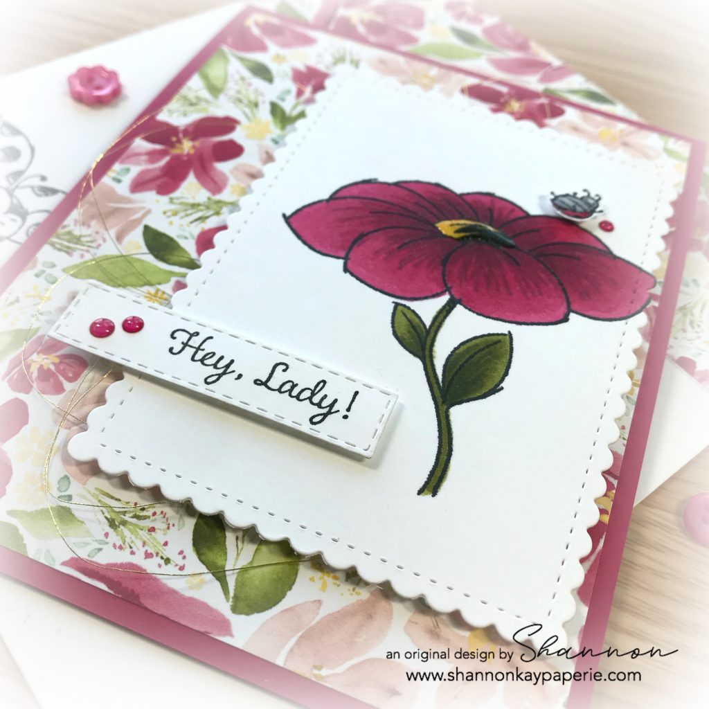 Stampin-Up-Little-Ladybug-Love-and-Friendship-Card-Ideas-Shannon-Jaramillo-shannonkaypaperie